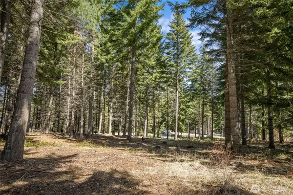 220 Tired Creek LN, Cle Elum, WA 98922