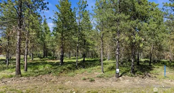 46 Southern Star LN, Cle Elum, WA 98922