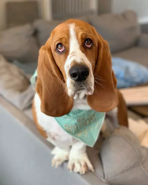 485455060_18493488121021258_7832501903504527757_n