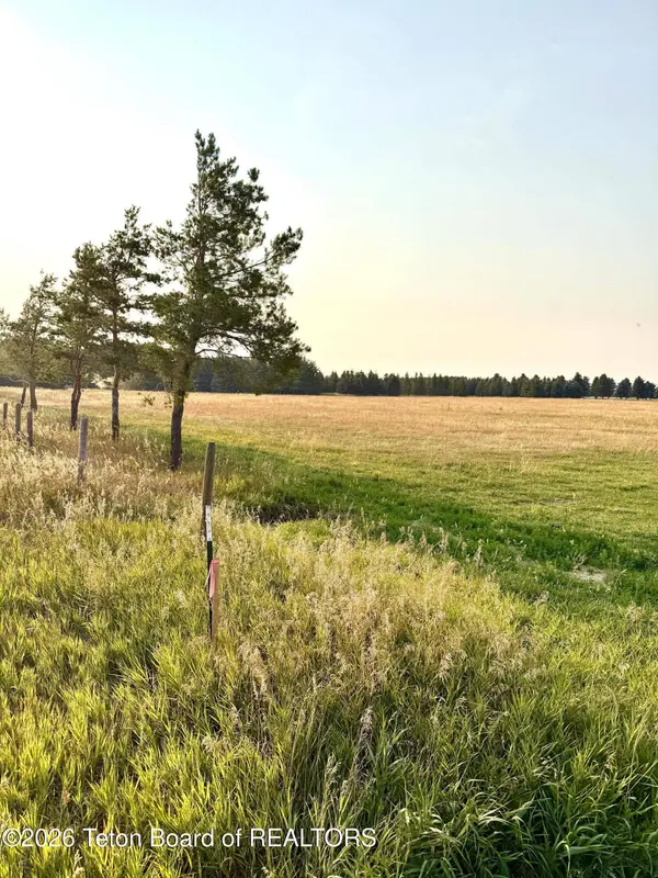 TBD LOT 1 HILLSIDE Lane, Driggs, ID 83422