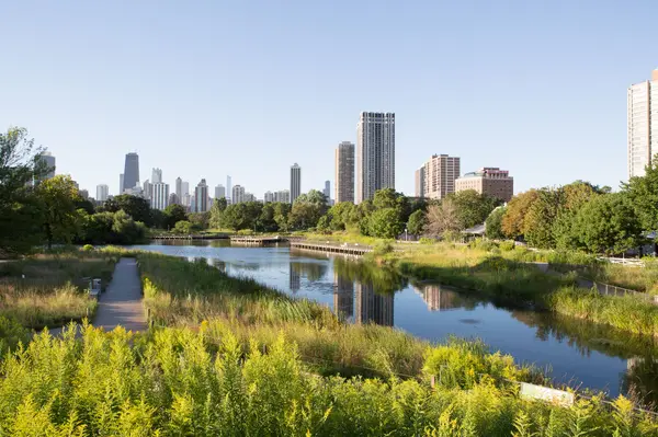 City - South Pond in Lincoln Park