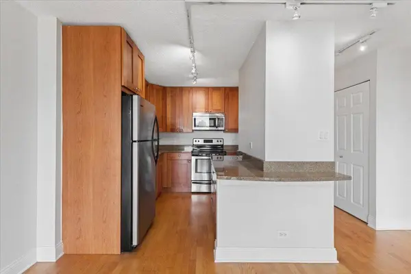 450 W Briar PL #8F, Chicago, IL 60657