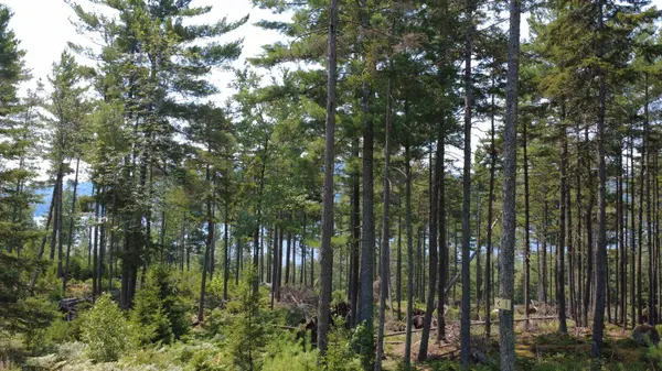 Ch. Desmarais, Mont-tremblant, QC J8E1E6