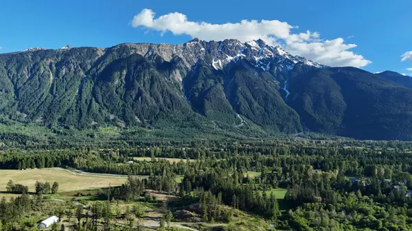 8218 Merlot Peak Drive DR, Pemberton, BC V0N 2L3