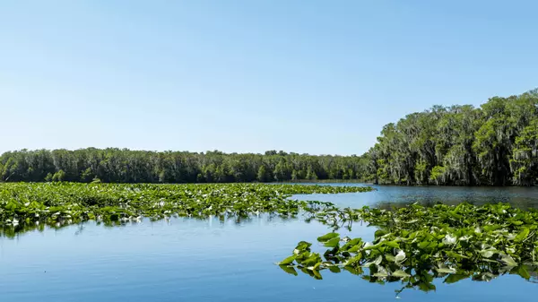 What Should First-Time Buyers Know About Moving to Clermont?