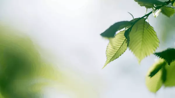 Can I Live Near Nature and Still Be Close to the City?