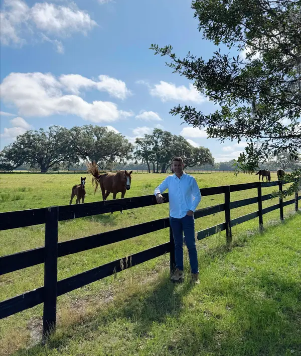 feature image of $10.5M Thoroughbred Racehorse was Auctioned off in Ocala