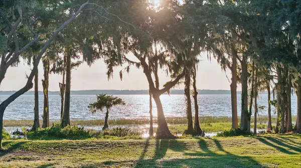 Designing a Home Around the Way You Want to Live in Central Florida