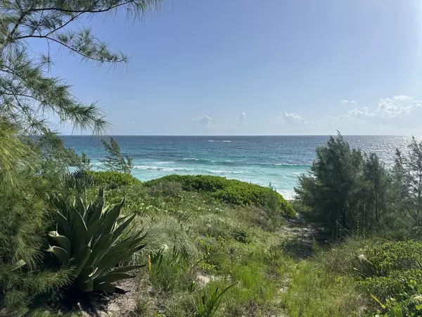 Community & Opportunity: Eleuthera on the Rise