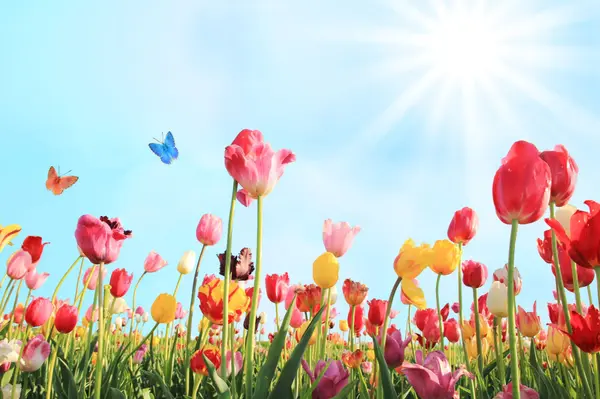 Greater Victoria Real Estate: What the Spring 2026 Market Means for Buyers and Sellers,Cameron Doyle