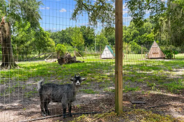 889 SW 165TH ST, Ocala, FL 34473