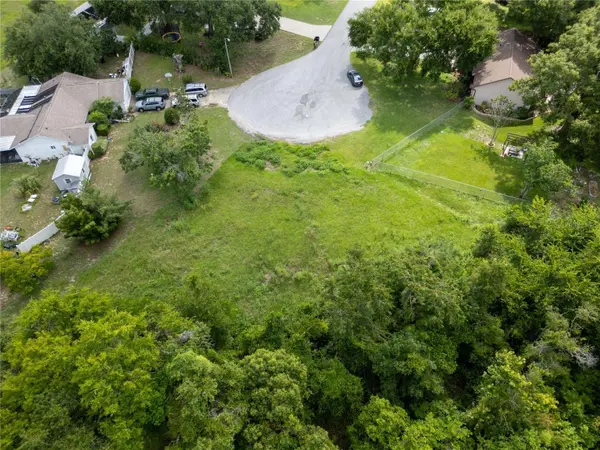 NEST CT, Grand Island, FL 32735