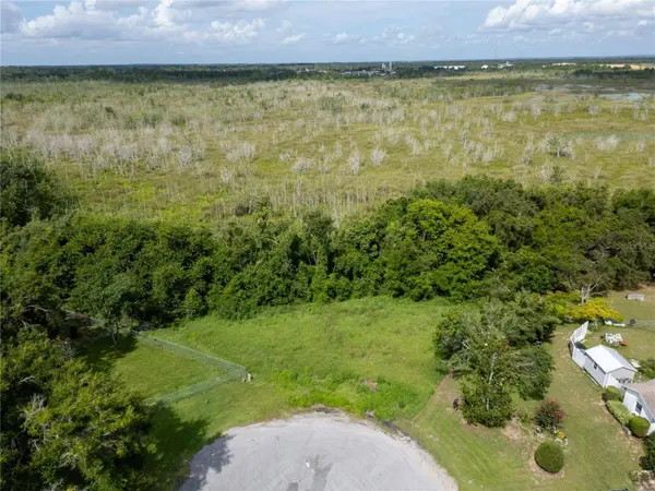 NEST CT, Grand Island, FL 32735