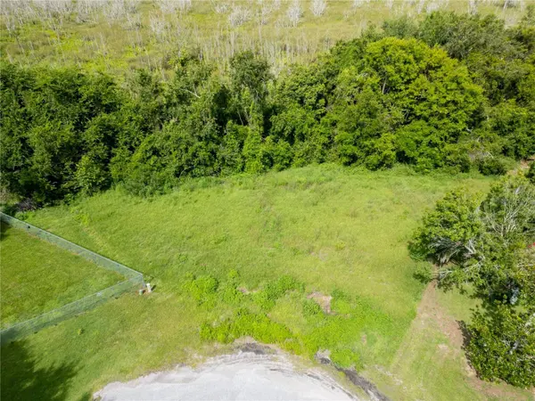 NEST CT, Grand Island, FL 32735