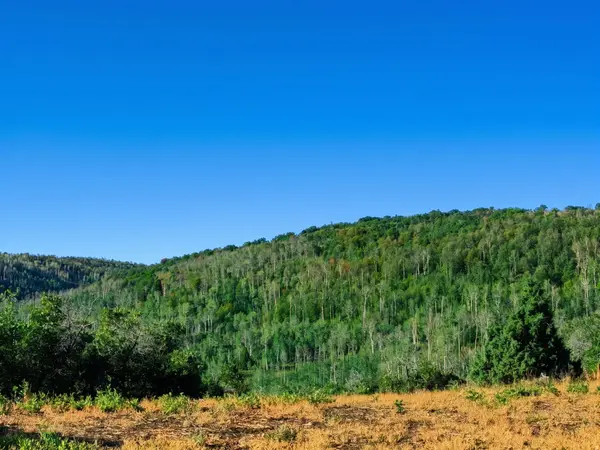 1 BRIDGE HOLLOW RD, Woodland, UT 84036