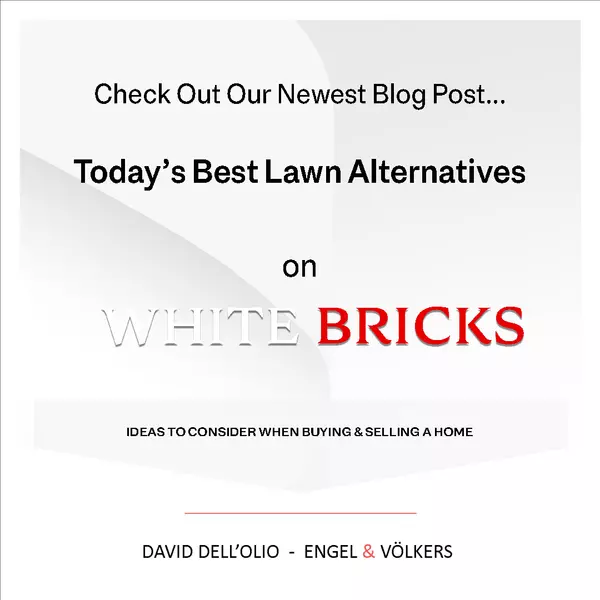 Today’s Best Lawn Alternatives
