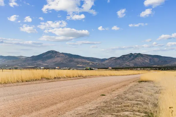 1615 W SUNFLOWER LN #4, Fillmore, UT 84631