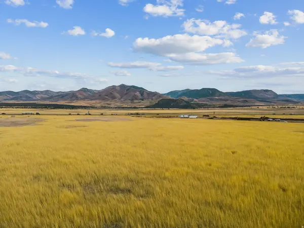 1615 W SUNFLOWER LN #4, Fillmore, UT 84631