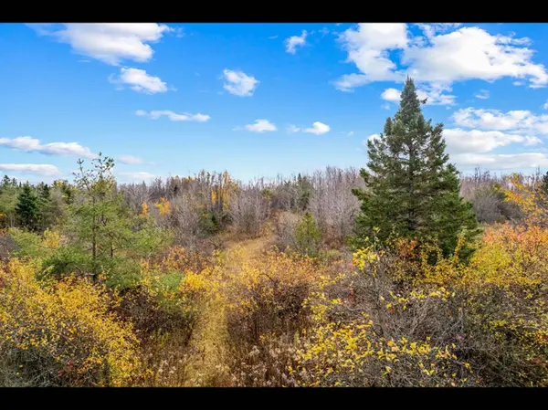 429560 8th B Concession, Grey Highlands, ON N0C 1M0