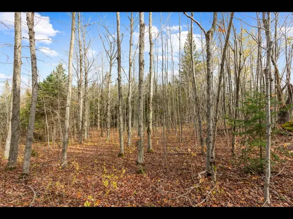 429560 8th B Concession, Grey Highlands, ON N0C 1M0