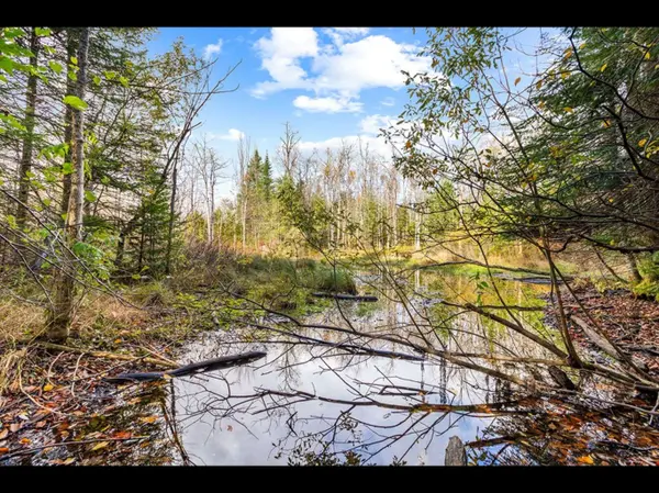 429560 8th B Concession, Grey Highlands, ON N0C 1M0