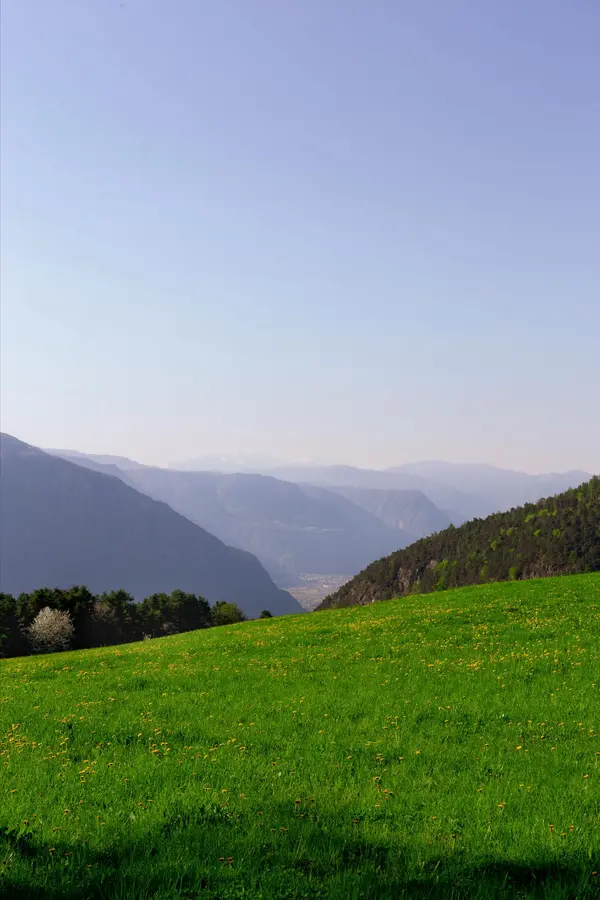 The Momentum Is Real: Advisor Growth, Market Movement, and What’s Ahead in North Georgia Real Estate