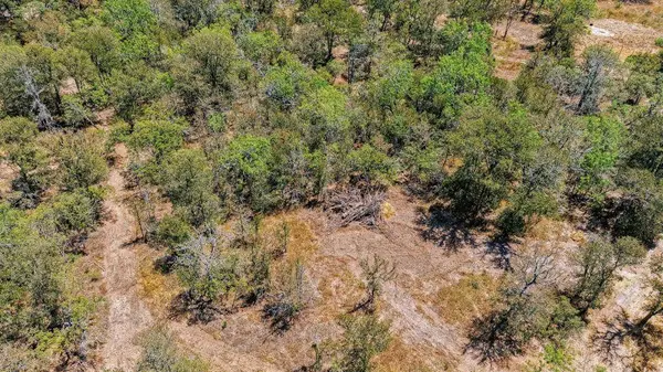 388 The Forest RD, Dale, TX 78616