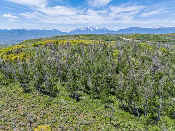 7367 E FOREST CREEK RD #29, Heber City, UT 84032