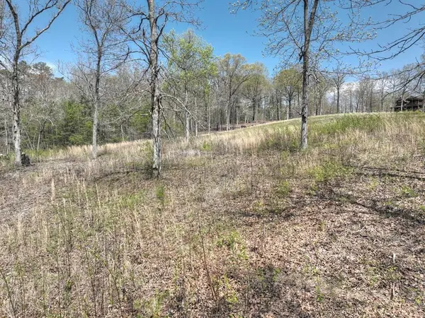 6 Arbor Creek Trail, Mineral Bluff, GA 30559