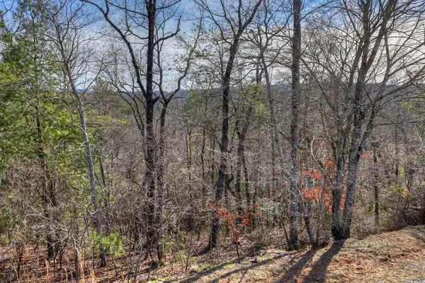 112 Fawn Way, Mineral Bluff, GA 30559