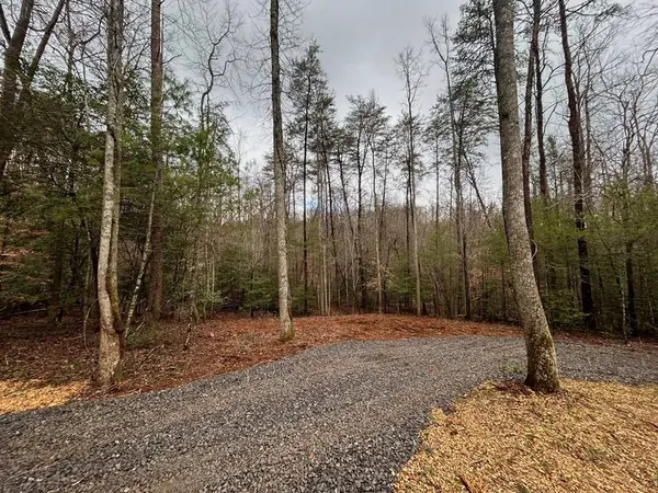 00 Grace Drive, Blue Ridge, GA 30513