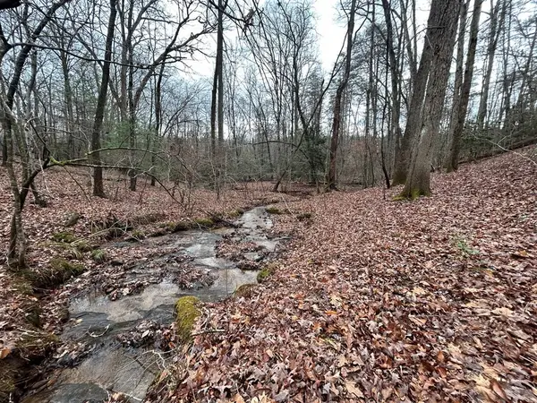 00 Grace Drive, Blue Ridge, GA 30513