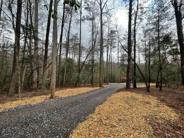00 Grace Drive, Blue Ridge, GA 30513