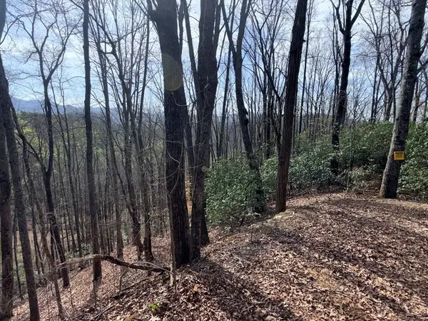 Lot 33 Snow Hill Falls Circle, Franklin, NC 28734