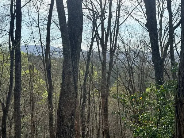 Lot 33 Snow Hill Falls Circle, Franklin, NC 28734