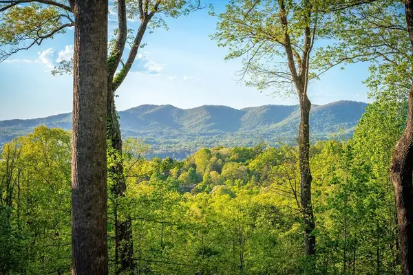 288 Sunny View Drive, Blairsville, GA 30512