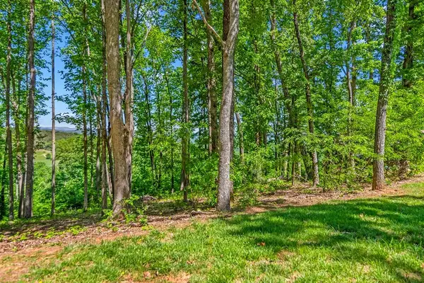 Lot 98 Winding Ridge, Blairsville, GA 30512