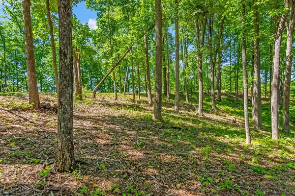 Lot 98 Winding Ridge, Blairsville, GA 30512