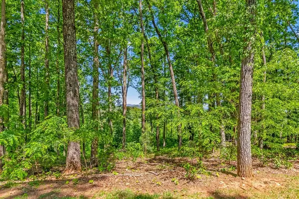 Lot 98 Winding Ridge, Blairsville, GA 30512
