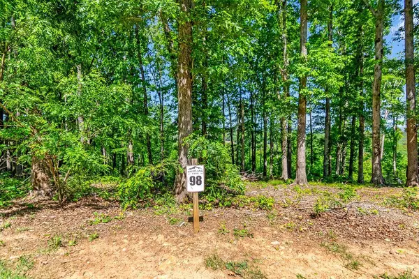 Lot 98 Winding Ridge, Blairsville, GA 30512