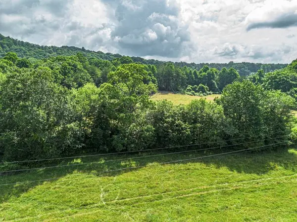 541 Pleasant Hill Road, Copperhill, TN 37317