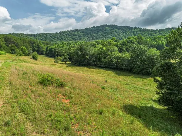 541 Pleasant Hill Road, Copperhill, TN 37317