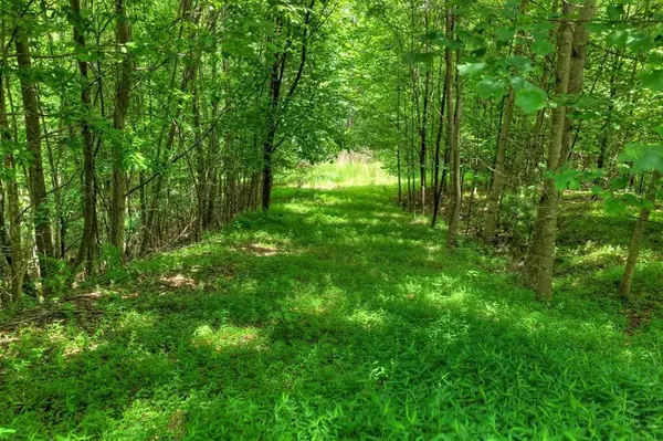 217 Catawba Drive, Mineral Bluff, GA 30559