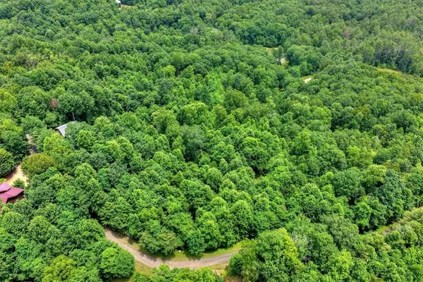 217 Catawba Drive, Mineral Bluff, GA 30559