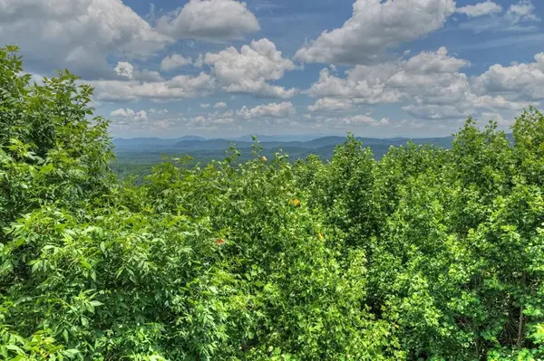 217 Catawba Drive, Mineral Bluff, GA 30559