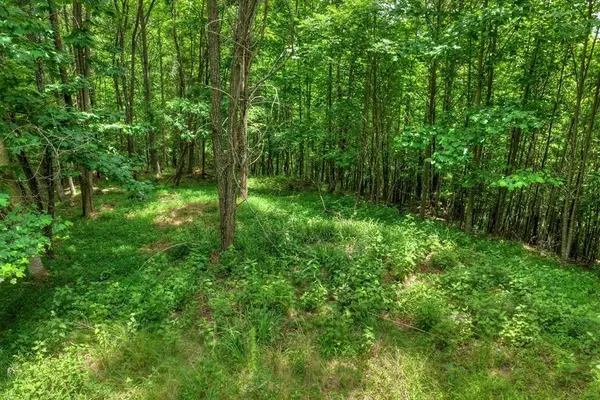 217 Catawba Drive, Mineral Bluff, GA 30559