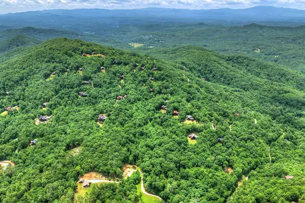 217 Catawba Drive, Mineral Bluff, GA 30559
