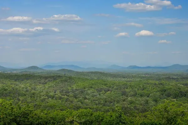 217 Catawba Drive, Mineral Bluff, GA 30559
