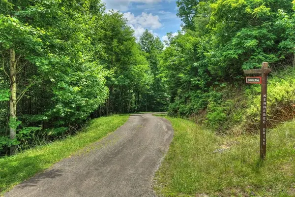 217 Catawba Drive, Mineral Bluff, GA 30559