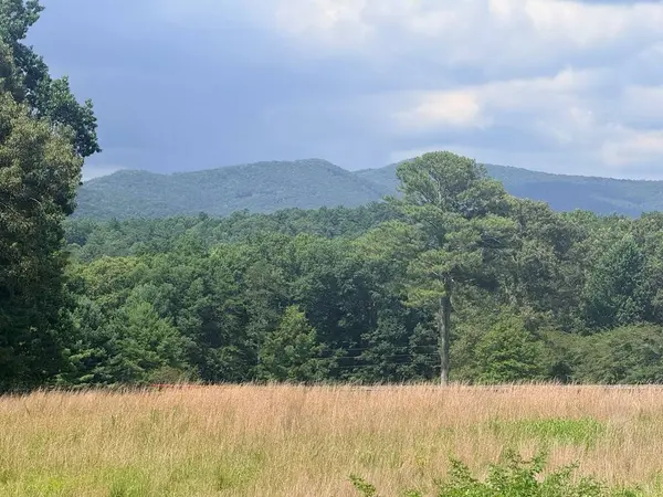 LT 6 Spring Camp Road, Ellijay, GA 30536
